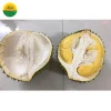 HIGH QUALITY FRESH DURIAN FOR SALE FROM VIET NAM