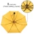 Import High Quality Multiple Colour Three Folding Umbrella Travel Umbrella from China