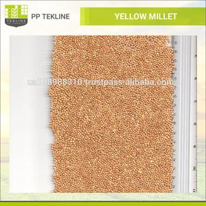 High Quality Ukraine Yellow Millet Price