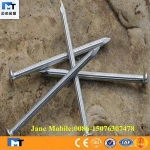 High Quality Zinc Plated Concrete Steel Nail