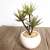 Import Highly realistic small size artificial plants potted succulents for indoor decoration from China