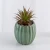 Import Home Decor Cactus Shape Bonsai Artificial Potted Plastic Succulent Plants with Ceramic Pot from China