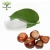 Import Horse Chestnut Extract Aescin 98% from China