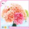 hot sale &amp; high quality 5-6cm diameter Wholesale Preserved Natural Flowers