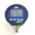 Import Hot Sale SIKA 0-1000 bar Digital Pressure Gauge D2 for Pressure Calibrator from China