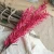 Import hot sale top quality wholesale artificial phoenix tail grass from China