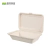Hot selling 9 * 6 &quot;lunch box Eco-Friendly biodegradable sugarcane bagasse food container,Sugarcane pulp food container boxes