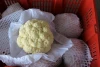 Hot selling cauliflower seed with certificate