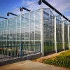 Hot Selling Glass Greenhouses With Low Price