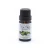 Import Hot selling  product America need  essential tea tree oil from China