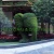 Import Hot selling stunning Artificial Garden Decoration Topiary Animal  Boxwood  Green Plant from China