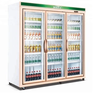 Hot selling supermarket multi glass door remote compressor refrigerator