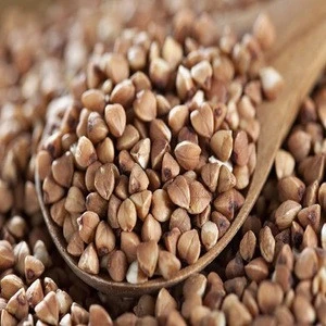 Hulled Buckwheat , Roasted Buckwheat ,Roasted Buckwheat Kernels