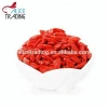 Import Ningxia Organic Goji Berries Dried without  pesticide
