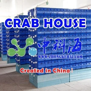 indoor three dimensional recirculating aquaculture equipment.Health culture of crab