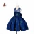 Import Kids children girls party boutique costume princess tutu flower girl skirt from China