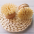Import Kitchen Plant Cleaning Brush Kit from China
