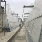 large size multi-span arch plastic film Greenhouse tomato greenhouse and strawberry greenhouse turnkey project