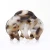 Import Latest Design Cute Hair Accessories Cellulose Acetate Acrylic Tortoiseshell Small Size Hair Claws Clips For Girls/Women from China