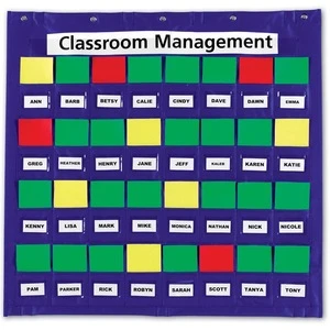 Learning Organization Pocket Charts with Cards