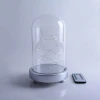 LED glass dome with silver base