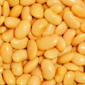 Lima Bean, Butter Bean, Sieva Bean, Madagascar Bean,Cheap Butter Beans, BUTTER BEANS