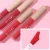 Import Long Lasting Moisturizing Waterproof Nude Color Velvet Matte Lipstick Lip Gloss from China