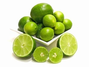 Low Price Fresh Green Seedless Limes