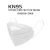 Import Low Price N95 Face Mask Respirator from China