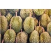 Malaysia For Sale Frozen Whole Durian Musang King Fruits