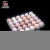 Manufacture Food Grade Plastic Egg Tray, 30 counts clear egg carton