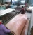 Import Manufacturer of keruing veneer from China