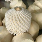 Mature Coconut/Fresh Tender Coconut Semi Husked Coconut