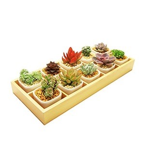 Modern Decorative Small White Square Ceramic Succulent Plant Pot 10 Flower Planters with 1 Wooden Tray Box Home Decor