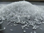 MSG/MONOSODIUM GLUTAMATE