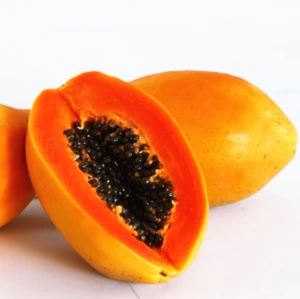 Mu Gua Zhong Zi New Arrival  Taiwan Red Lady Papaya Fruit Seeds Red F1 Hybrid for sale
