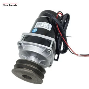 MY1120ZXF 600 W 36V 48 V Double Groove Pulley Drive DC Motor For Greenhouse Plastic Film Electric Roll Up Motor