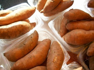 Natural Fresh Sweet Potatoes Ukraine