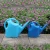 Import New 5 Liters Capacity Watering Can Plastic from China