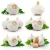 Import New China fresh pure white garlic from China