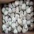 Import New Crop High Quality Fresh Normal White Garlic Purple Garlic Red Garlic from China