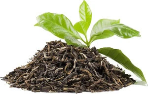 Organic HACCP Certified Natural Caffine 20% bio green tea Extract