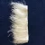Import Ostrich feather for accessories from China