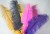 Import ostrich feather for weddings events from China