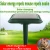 Import Outdoor Solar Powrered  Waterproof Rat Mouse Mole Snake Rodent  pest repeller  Outdoor Pest Reject from China