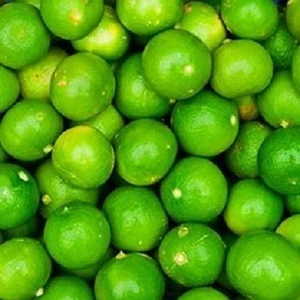 Persa Lime