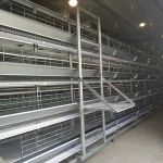 Poultry farm galvanized automatic chicken feeders for egg layer
