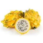 Premium Fresh Red Dragon Fruits !!