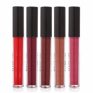 Private label lipgloss make your own lipgloss waterproof lip gloss