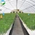 Import Professional manufacturers agriculture intelligent film greenhouse from China